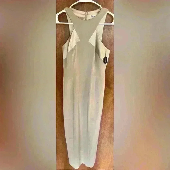 Tahari Maxi tan gold  formal Evening Dress - New with tags - Picture 1 of 8